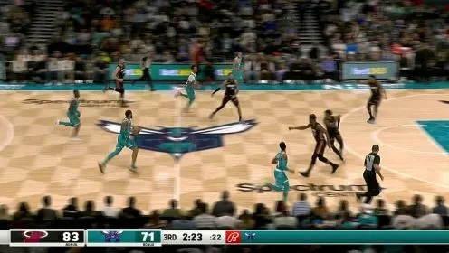 2011nba季后赛黄蜂g1 2011年黄蜂队-第3张图片-www.211178.com_果博福布斯