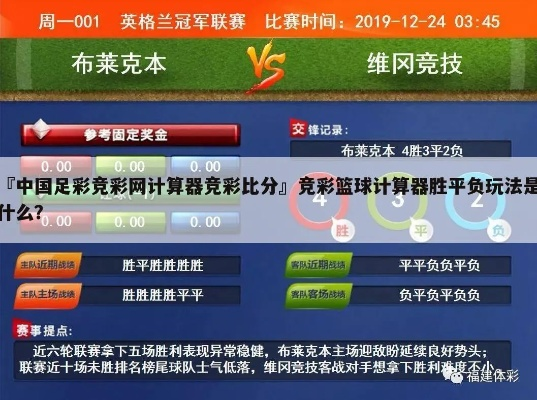 中国竞彩网欧洲杯计算机 中国竞彩网官网计算机-第3张图片-www.211178.com_果博福布斯